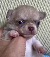 processed/61ab559a-5a5f-4d3e-b0ea-09ef7feaee67/facility/3b16bb8d-ce2c-4c85-abab-0f956f6a5c27