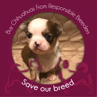 processed/61ab559a-5a5f-4d3e-b0ea-09ef7feaee67/facility/4f1cadcb-a55f-4987-bf34-b30c57235685