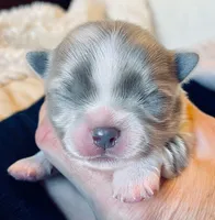 processed/61ab559a-5a5f-4d3e-b0ea-09ef7feaee67/facility/89cf9313-2722-4fd0-a6d1-2eaac27f2980