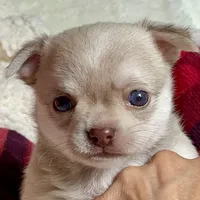 processed/61ab559a-5a5f-4d3e-b0ea-09ef7feaee67/facility/96f0b690-b259-44d5-b894-231d2b152cb4