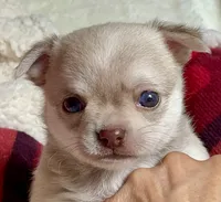 processed/61ab559a-5a5f-4d3e-b0ea-09ef7feaee67/facility/96f0b690-b259-44d5-b894-231d2b152cb4