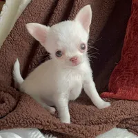 processed/61ab559a-5a5f-4d3e-b0ea-09ef7feaee67/facility/b611843c-b922-4f1f-8302-473c4f7ebe56