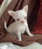 processed/61ab559a-5a5f-4d3e-b0ea-09ef7feaee67/facility/b611843c-b922-4f1f-8302-473c4f7ebe56