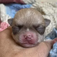 processed/61ab559a-5a5f-4d3e-b0ea-09ef7feaee67/facility/b649e10c-10da-44cd-a41a-c55a6abb57a3