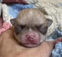 processed/61ab559a-5a5f-4d3e-b0ea-09ef7feaee67/facility/b649e10c-10da-44cd-a41a-c55a6abb57a3