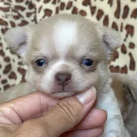 processed/61ab559a-5a5f-4d3e-b0ea-09ef7feaee67/facility/ea64e948-3c1f-451a-a4b1-183978c9b80b