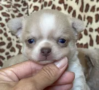 processed/61ab559a-5a5f-4d3e-b0ea-09ef7feaee67/facility/ea64e948-3c1f-451a-a4b1-183978c9b80b