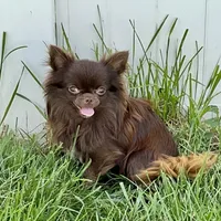 processed/61ab559a-5a5f-4d3e-b0ea-09ef7feaee67/facility/f563f067-9c58-4a51-8f37-8d87799bcf1b