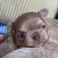 processed/61ab559a-5a5f-4d3e-b0ea-09ef7feaee67/facility/f7b4bcc1-abb3-458e-a7df-ce37dc8101f0