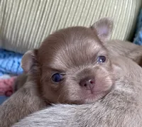 processed/61ab559a-5a5f-4d3e-b0ea-09ef7feaee67/facility/f7b4bcc1-abb3-458e-a7df-ce37dc8101f0