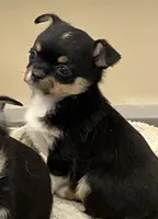 processed/61ab559a-5a5f-4d3e-b0ea-09ef7feaee67/listing/bf590421-1ca0-4b83-9040-153672801e51/5350d018-930b-44f3-81a1-6a3fc038d1ef