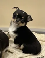 processed/61ab559a-5a5f-4d3e-b0ea-09ef7feaee67/listing/bf590421-1ca0-4b83-9040-153672801e51/f0f67dd8-067a-4602-a2f6-1b374392b500