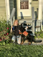 Cache, a male Beauceron for sale in Louisville, KY – 1 of 10