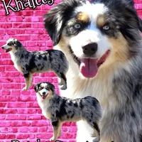 processed/61c14047-fd61-4b58-a280-4cb02bc377cd/facility/07aee86d-7213-49c0-967d-046a847fdd5a