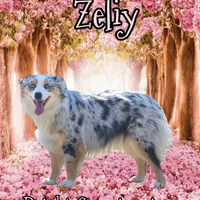 processed/61c14047-fd61-4b58-a280-4cb02bc377cd/facility/26c0c3f4-1e57-4962-a5de-4f9a15dab940