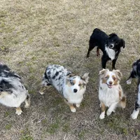 processed/61c14047-fd61-4b58-a280-4cb02bc377cd/facility/5258bcb4-ecd0-4962-9eb3-dbb245562884