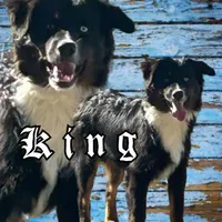 processed/61c14047-fd61-4b58-a280-4cb02bc377cd/facility/a61efd44-e0f5-46df-96a0-c3c65027516d