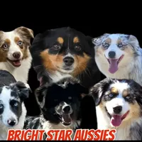 processed/61c14047-fd61-4b58-a280-4cb02bc377cd/facility/c39ffe54-16d2-40d5-8f36-60787a7c6670