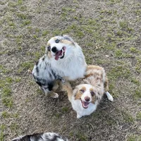 processed/61c14047-fd61-4b58-a280-4cb02bc377cd/facility/e7439025-2168-4e9f-8150-3c6db6eb1e8b