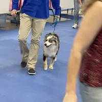 processed/61c14047-fd61-4b58-a280-4cb02bc377cd/facility/f46bafe1-4565-48fa-8ddd-b2489066a0c7