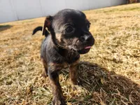 processed/61c3d38e-75f3-454b-8dc1-a257c3b54c6f/listing/7ced12e1-6df8-4504-861b-5e4d45efa5cb/b4e5db48-11c7-4a2d-9e2b-6e591cc1eb63