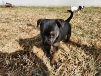 processed/61c3d38e-75f3-454b-8dc1-a257c3b54c6f/listing/7ced12e1-6df8-4504-861b-5e4d45efa5cb/be23a111-90d9-48e7-b21e-98742324e257