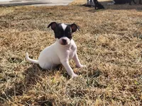 processed/61c3d38e-75f3-454b-8dc1-a257c3b54c6f/listing/94ddaa56-ed57-429c-99a5-561e81e3785e/3bc4f55e-d8c0-49c1-8c76-daad6aae9286