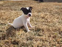 processed/61c3d38e-75f3-454b-8dc1-a257c3b54c6f/listing/94ddaa56-ed57-429c-99a5-561e81e3785e/57a5568f-0cb4-445b-bb69-316b32c11e9b