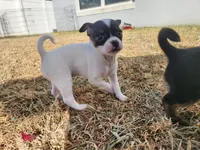 processed/61c3d38e-75f3-454b-8dc1-a257c3b54c6f/listing/94ddaa56-ed57-429c-99a5-561e81e3785e/986e0116-fbf4-4c05-a5d1-fecd4f53e0aa