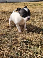 processed/61c3d38e-75f3-454b-8dc1-a257c3b54c6f/listing/94ddaa56-ed57-429c-99a5-561e81e3785e/f77a6b37-7ce8-4120-91ff-cdca760c57fe