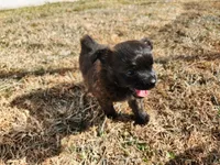 processed/61c3d38e-75f3-454b-8dc1-a257c3b54c6f/listing/d1e17dec-3117-42d1-998c-acbfa3c8c203/31735f08-f1fb-4030-b0f9-0e9ac2391faf