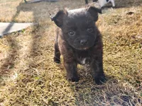 processed/61c3d38e-75f3-454b-8dc1-a257c3b54c6f/listing/d1e17dec-3117-42d1-998c-acbfa3c8c203/49f9b97d-b706-4de0-bbc4-4053ddaa1084