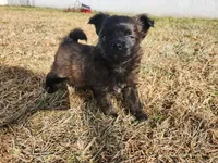 processed/61c3d38e-75f3-454b-8dc1-a257c3b54c6f/listing/d1e17dec-3117-42d1-998c-acbfa3c8c203/ad3f31f6-8ac2-41e4-b302-a9e9167f587f