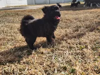 processed/61c3d38e-75f3-454b-8dc1-a257c3b54c6f/listing/d1e17dec-3117-42d1-998c-acbfa3c8c203/e2f260c1-dedb-4e2e-aed6-4bccf768b148