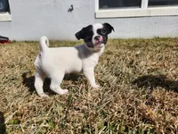 processed/61c3d38e-75f3-454b-8dc1-a257c3b54c6f/listing/d570e86f-a470-4b9d-9338-3d7de17609a2/08719f91-6080-42dc-ae79-04016e65e4b6