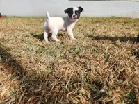 processed/61c3d38e-75f3-454b-8dc1-a257c3b54c6f/listing/d570e86f-a470-4b9d-9338-3d7de17609a2/30f4556c-4fbd-40d0-a729-440d48129f88