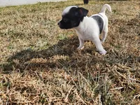 processed/61c3d38e-75f3-454b-8dc1-a257c3b54c6f/listing/d570e86f-a470-4b9d-9338-3d7de17609a2/64bb0869-ea8b-4358-82d2-61cb55c2d68d