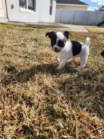 processed/61c3d38e-75f3-454b-8dc1-a257c3b54c6f/listing/d570e86f-a470-4b9d-9338-3d7de17609a2/9c916370-ac59-420d-b09a-dadc854593d5