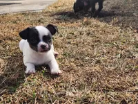 processed/61c3d38e-75f3-454b-8dc1-a257c3b54c6f/listing/d570e86f-a470-4b9d-9338-3d7de17609a2/b67a417e-2eea-46cc-9f7f-3a7ed64e4cb9