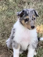 processed/61ceeb8d-2267-4050-bc37-876ab3f43221/facility/322d3acb-15a4-4234-9ea6-1f9d37093bc7