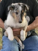 processed/61ceeb8d-2267-4050-bc37-876ab3f43221/facility/7b50d5aa-c993-4871-91b9-979cd824f857