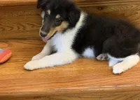 processed/61ceeb8d-2267-4050-bc37-876ab3f43221/facility/bc0c18c9-df8a-4a3a-a68e-2eb40d3c0ed9