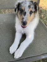 processed/61ceeb8d-2267-4050-bc37-876ab3f43221/facility/dd0401c1-f2c2-4172-a85d-17a8f01c42f7