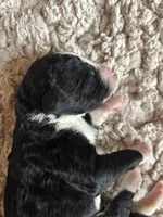 processed/61fb542d-2518-481d-8aa1-bffa78d528b6/listing/119ce692-72ce-48c9-a5be-a3032ef774f2/65975e88-1576-4b55-8432-004d453a603d