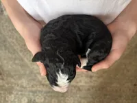 processed/61fb542d-2518-481d-8aa1-bffa78d528b6/listing/119ce692-72ce-48c9-a5be-a3032ef774f2/7b7e362b-ad0d-4807-b6b8-594be723bc96