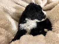 processed/61fb542d-2518-481d-8aa1-bffa78d528b6/listing/119ce692-72ce-48c9-a5be-a3032ef774f2/e89c8283-501e-41c4-893b-07df67dc08e8