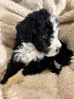 processed/61fb542d-2518-481d-8aa1-bffa78d528b6/listing/119ce692-72ce-48c9-a5be-a3032ef774f2/ef02df00-507e-4fae-9c54-56e68343123b