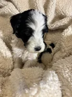 processed/61fb542d-2518-481d-8aa1-bffa78d528b6/listing/48738ad4-0ffb-48c5-8cc6-40f9570aa8cb/2e3caca4-a807-4f1d-bd25-74d7bf38aa8c