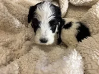 processed/61fb542d-2518-481d-8aa1-bffa78d528b6/listing/48738ad4-0ffb-48c5-8cc6-40f9570aa8cb/4b4eec48-16a2-41ba-b9c0-c65df6d61781