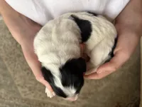 processed/61fb542d-2518-481d-8aa1-bffa78d528b6/listing/48738ad4-0ffb-48c5-8cc6-40f9570aa8cb/744386dc-b916-49de-b9b4-a74188653356